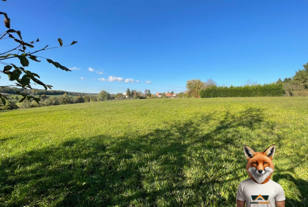 1761914263_VT291_4_original