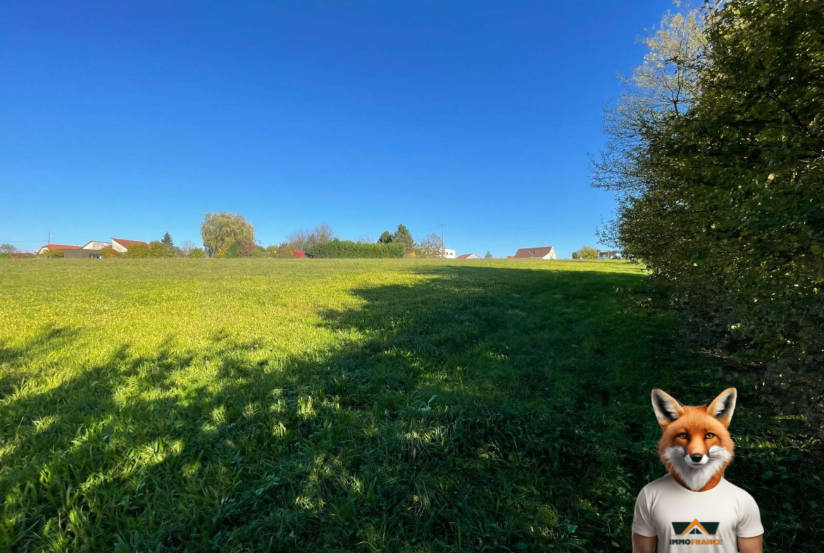 1761914263_VT291_5_original