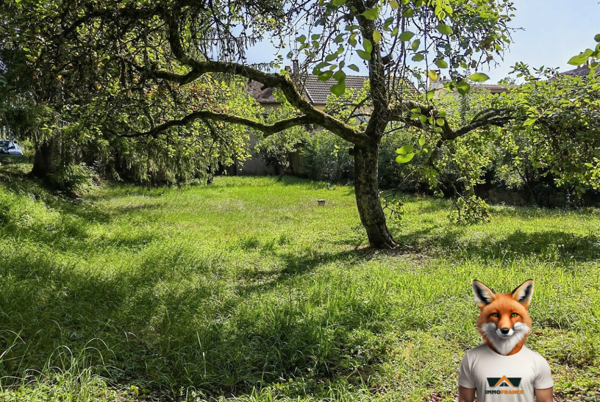 1762771496_VT293_2_original