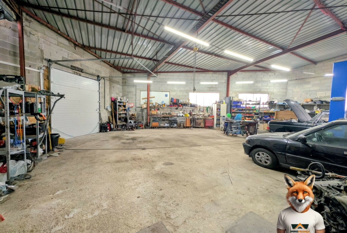 1765211666_VM2405_14_original