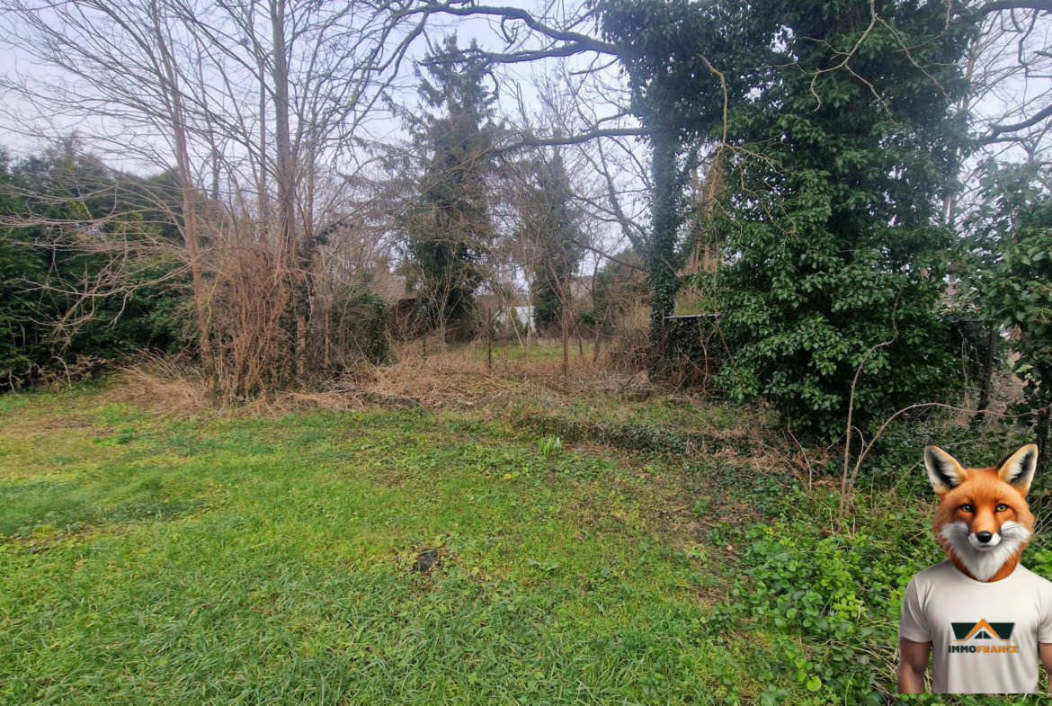 1766053219_VT299_1_original