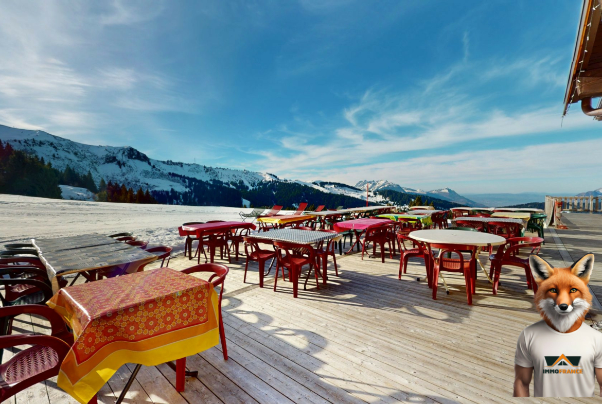 1766136061_VP162_31_original