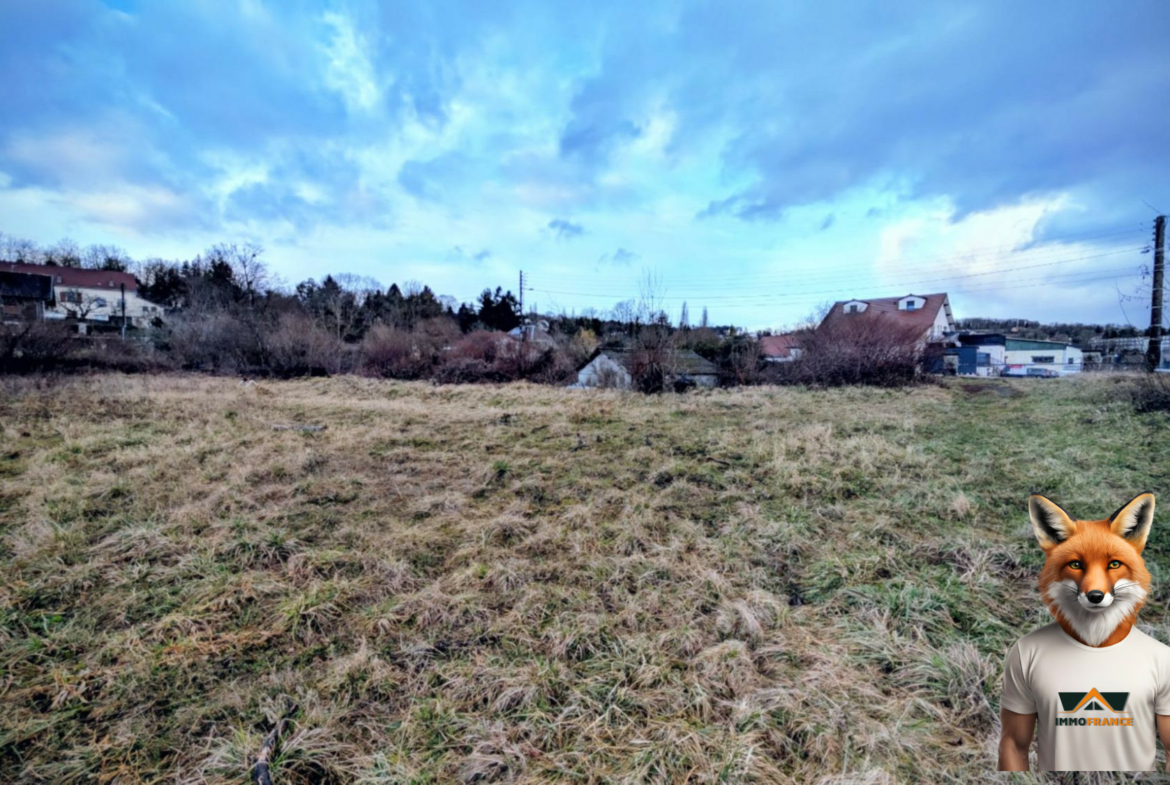 1768653056_VT309_3_original