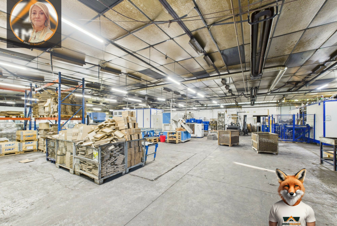 1770811944_VP160_15_original