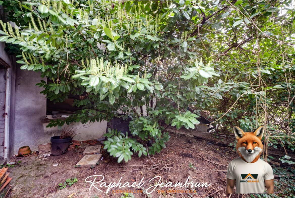 1773149443_VI150_8_original