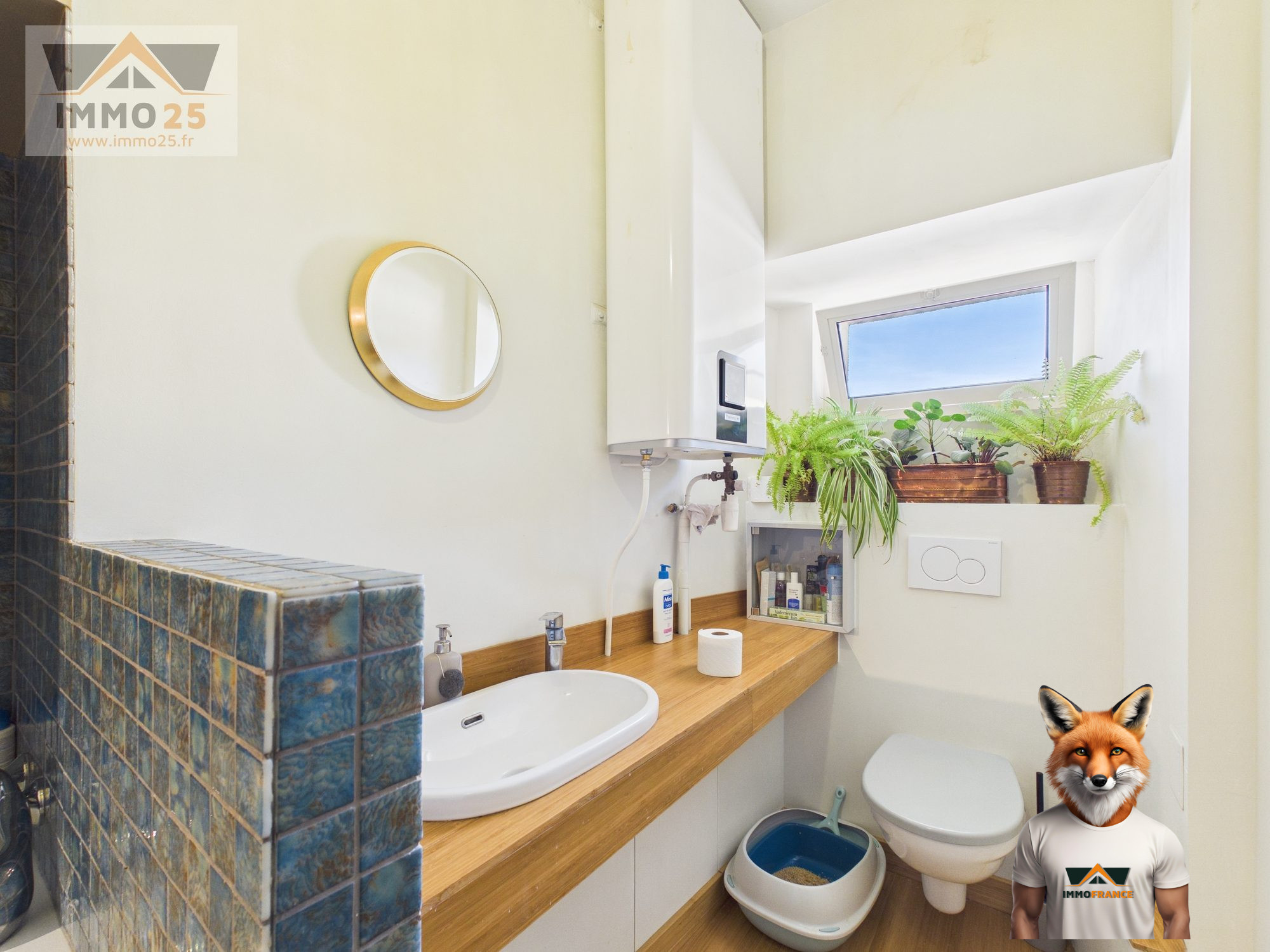 1773916042_VA3941_2_original