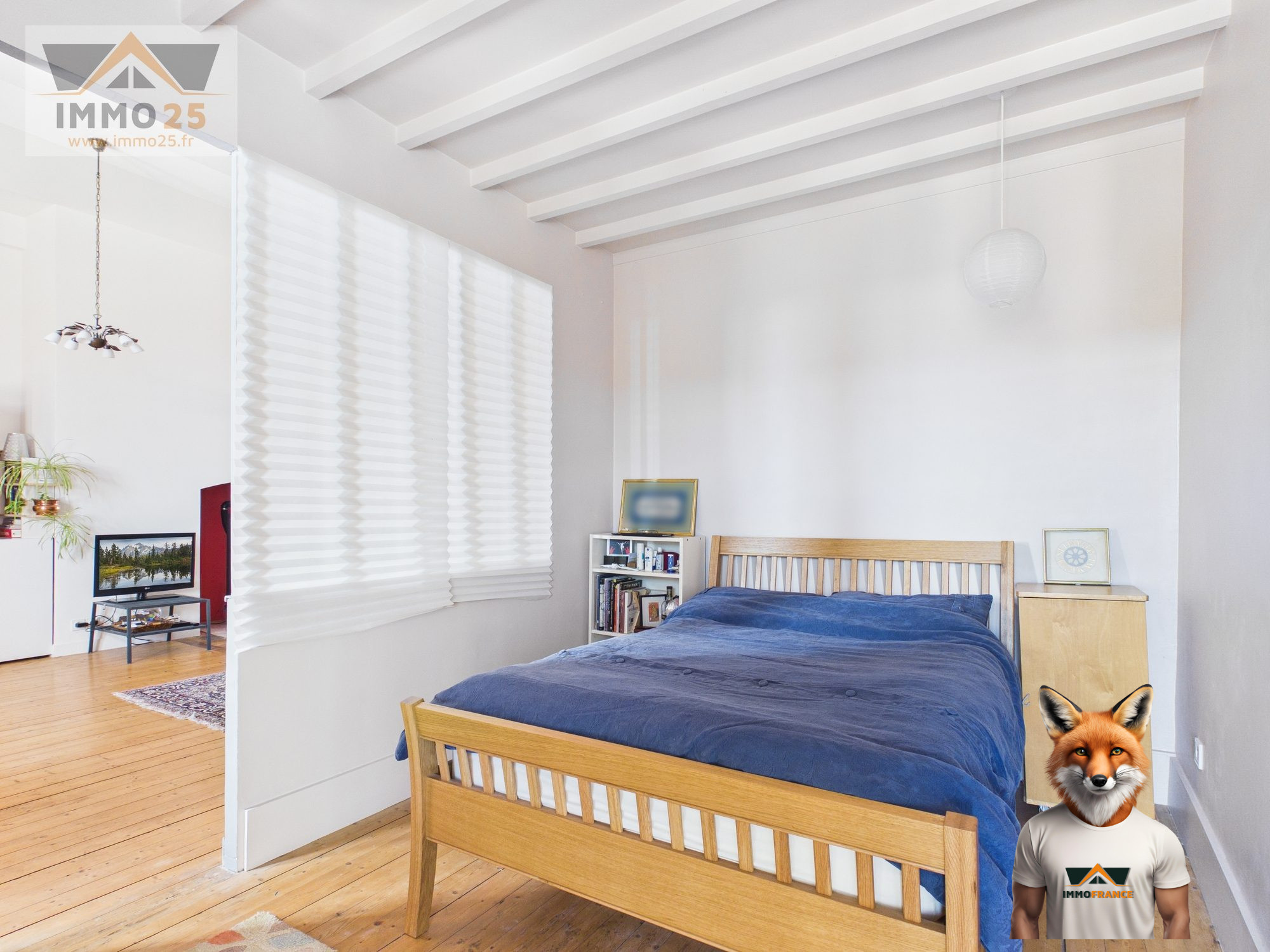 1773916047_VA3941_11_original