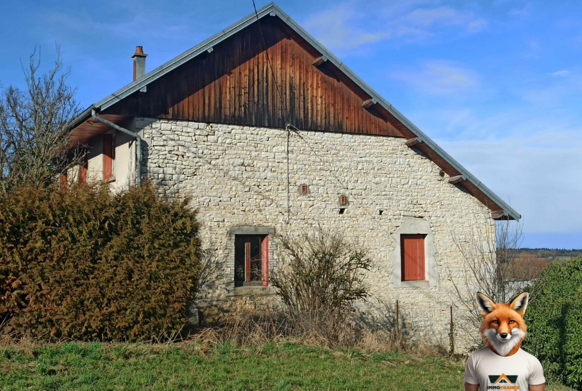 1774369672_VM2607_5_original