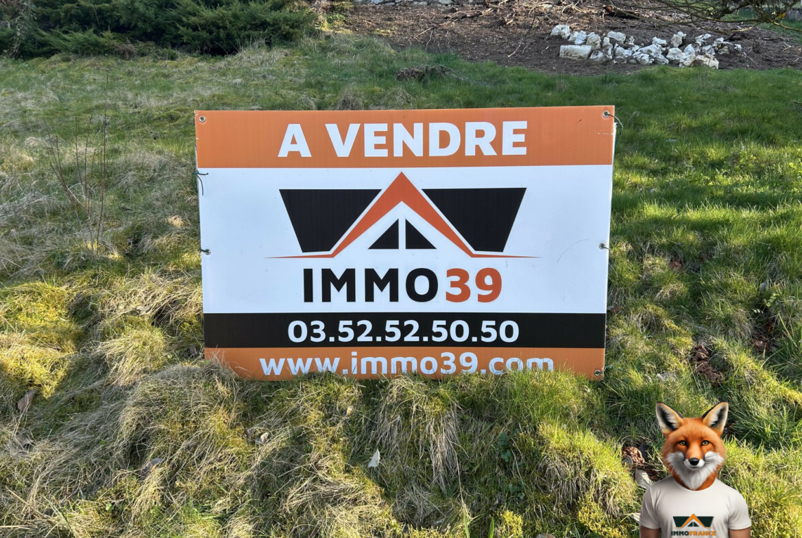 1774370273_VT324_1_original