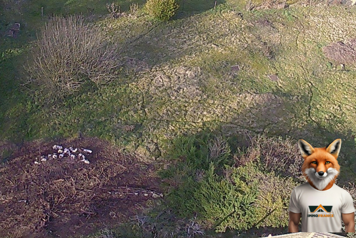 1774370274_VT324_2_original