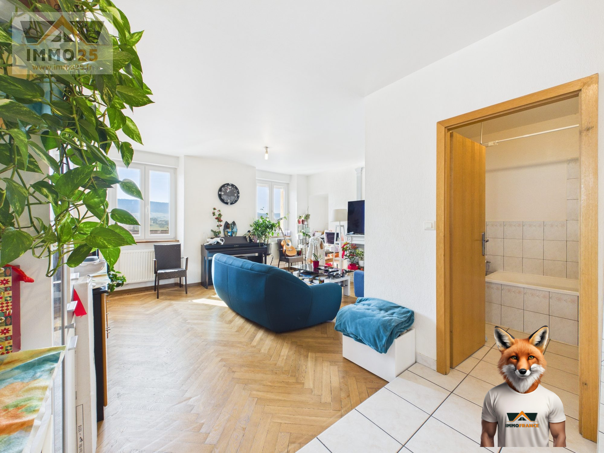 1774455667_VA3966_9_original