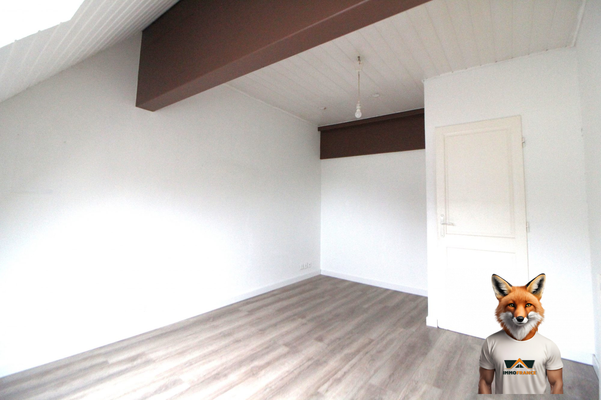 1774950899_VA3969_9_original