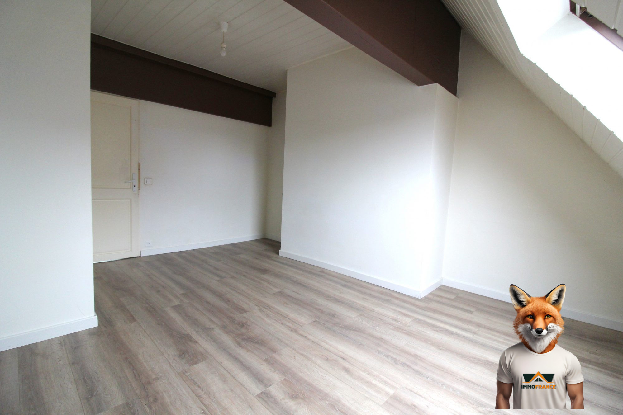 1774950919_VA3969_11_original