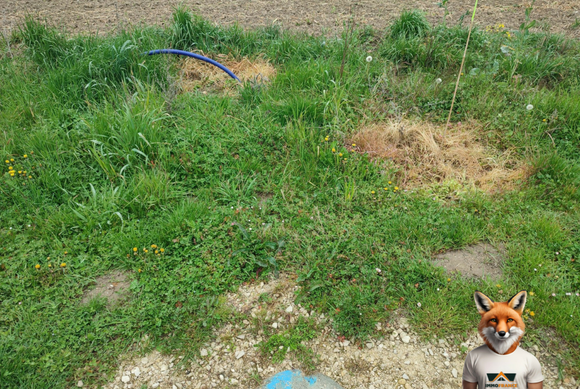 1775324243_VT326_4_original