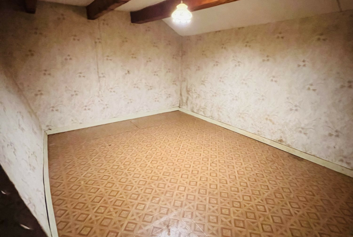 1775644394_VM2500_3_original