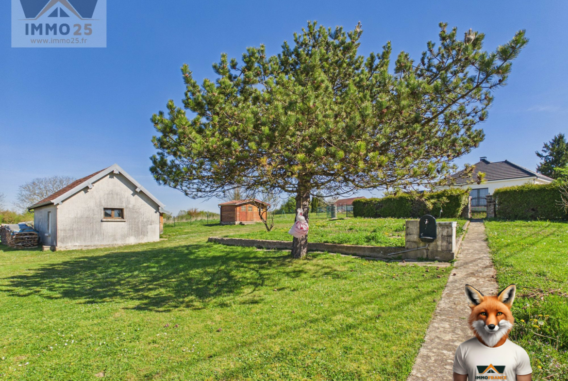 1776104845_VM2646_6_original