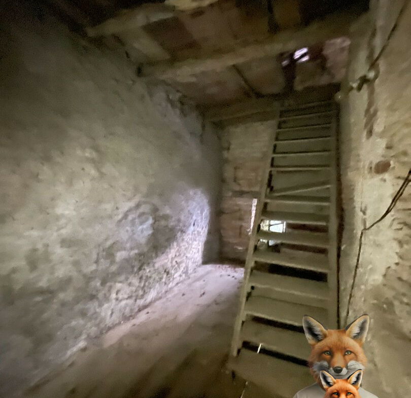 1751894771_VM1902_3_original