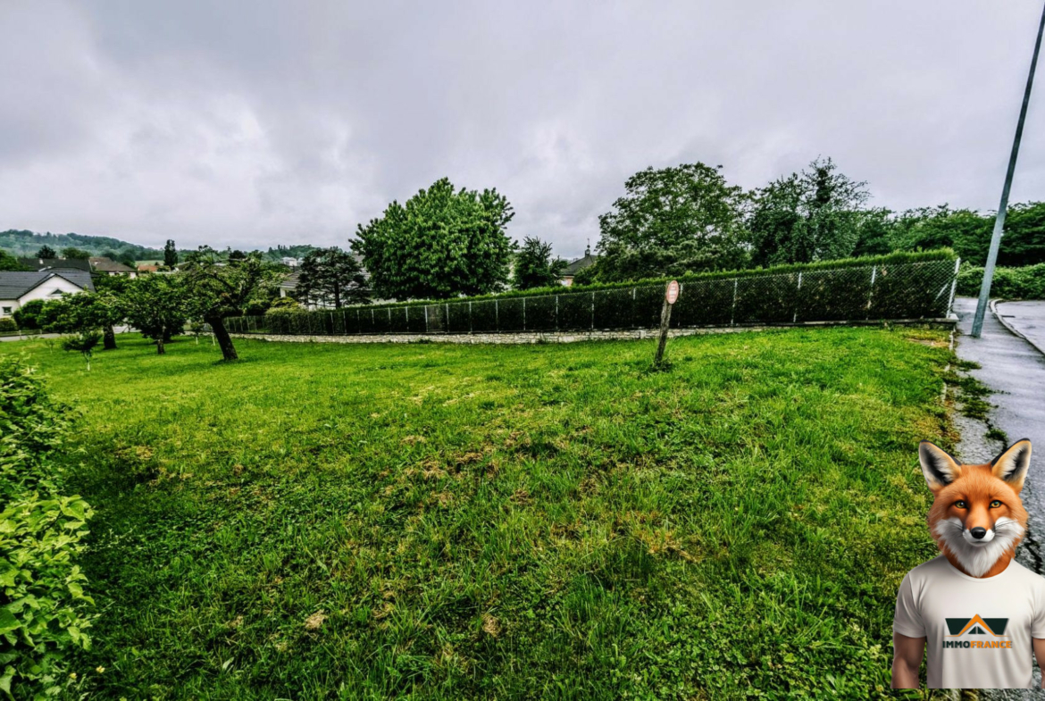 1778058188_VT329_2_original