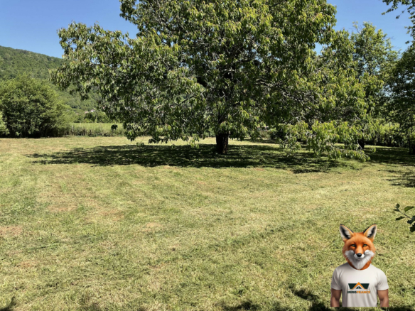 Terrain de 1301 m²