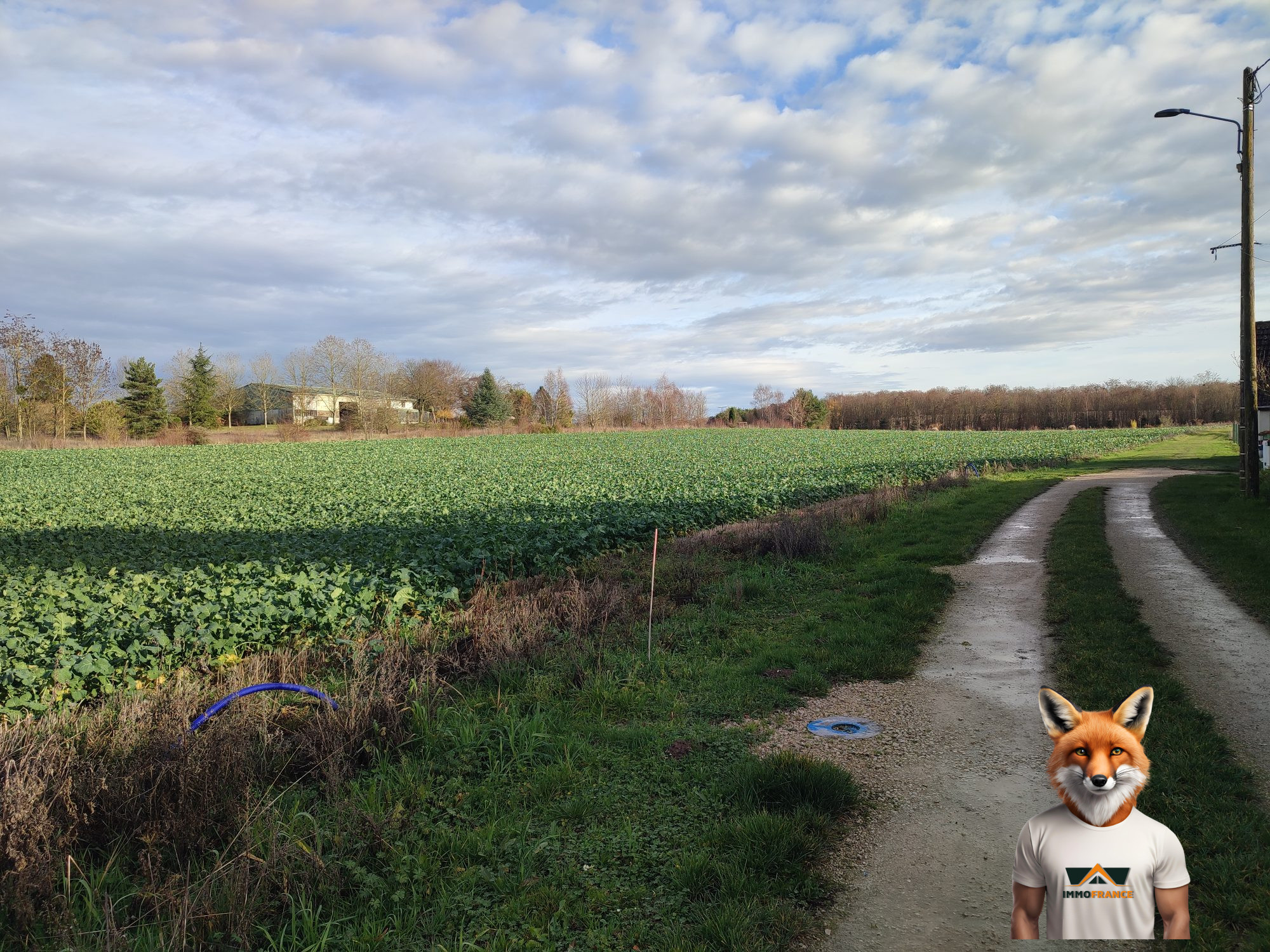 1775324208_VT326_3_original