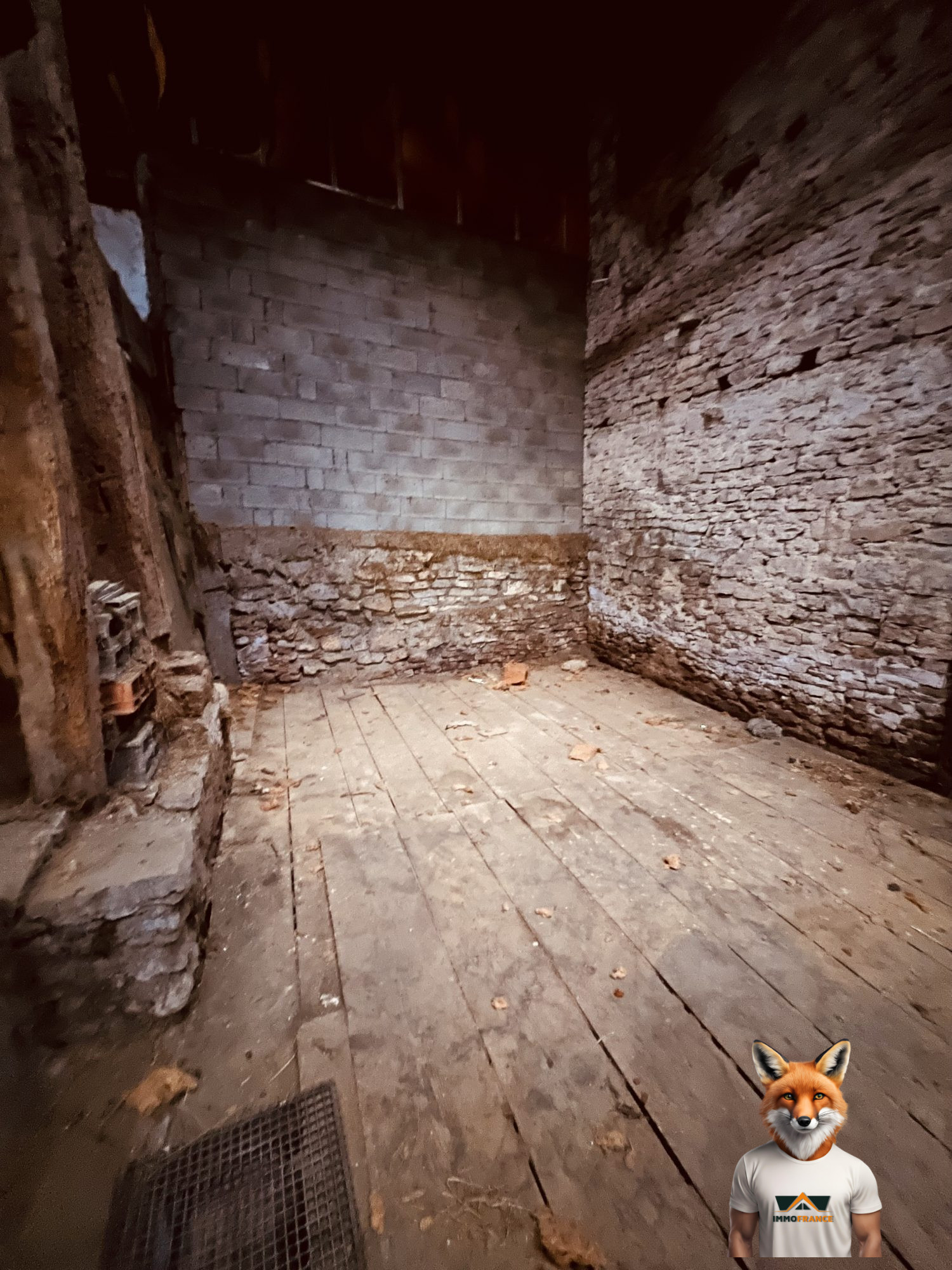 1775644427_VM2500_8_original
