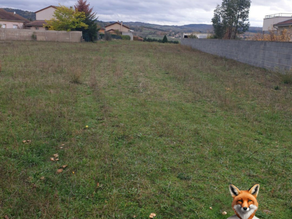 Terrain  1615 m2
