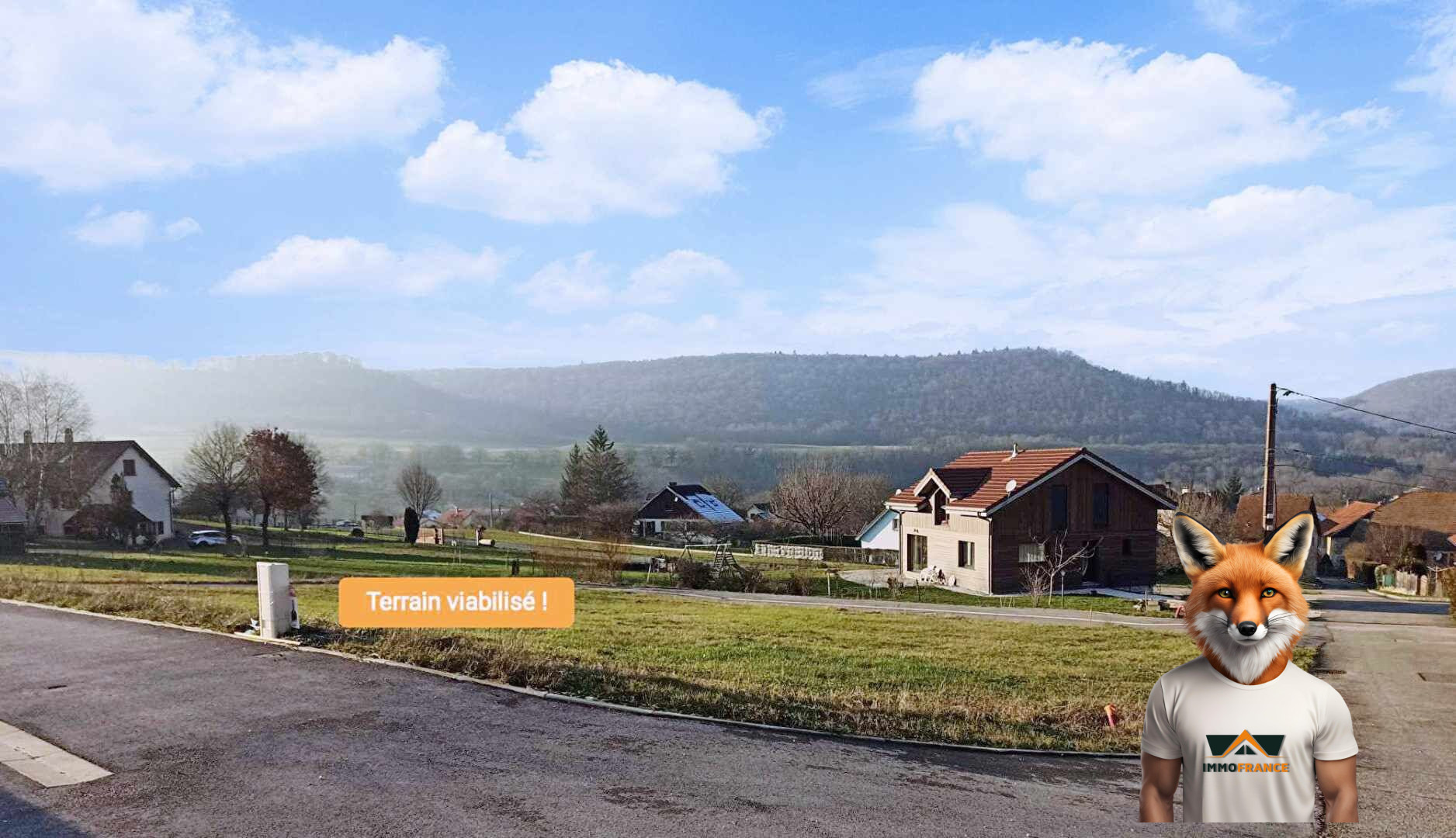 1751894556_VT196_2_original