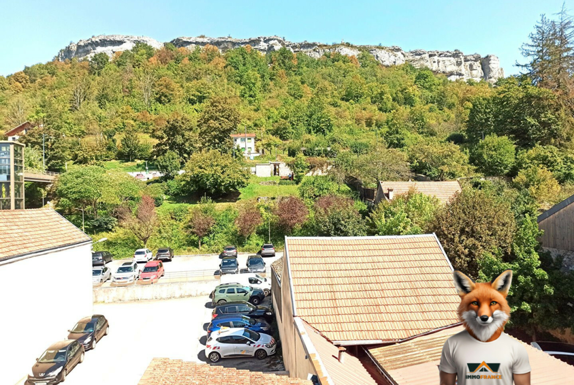 1785132447_VA4119_6_original
