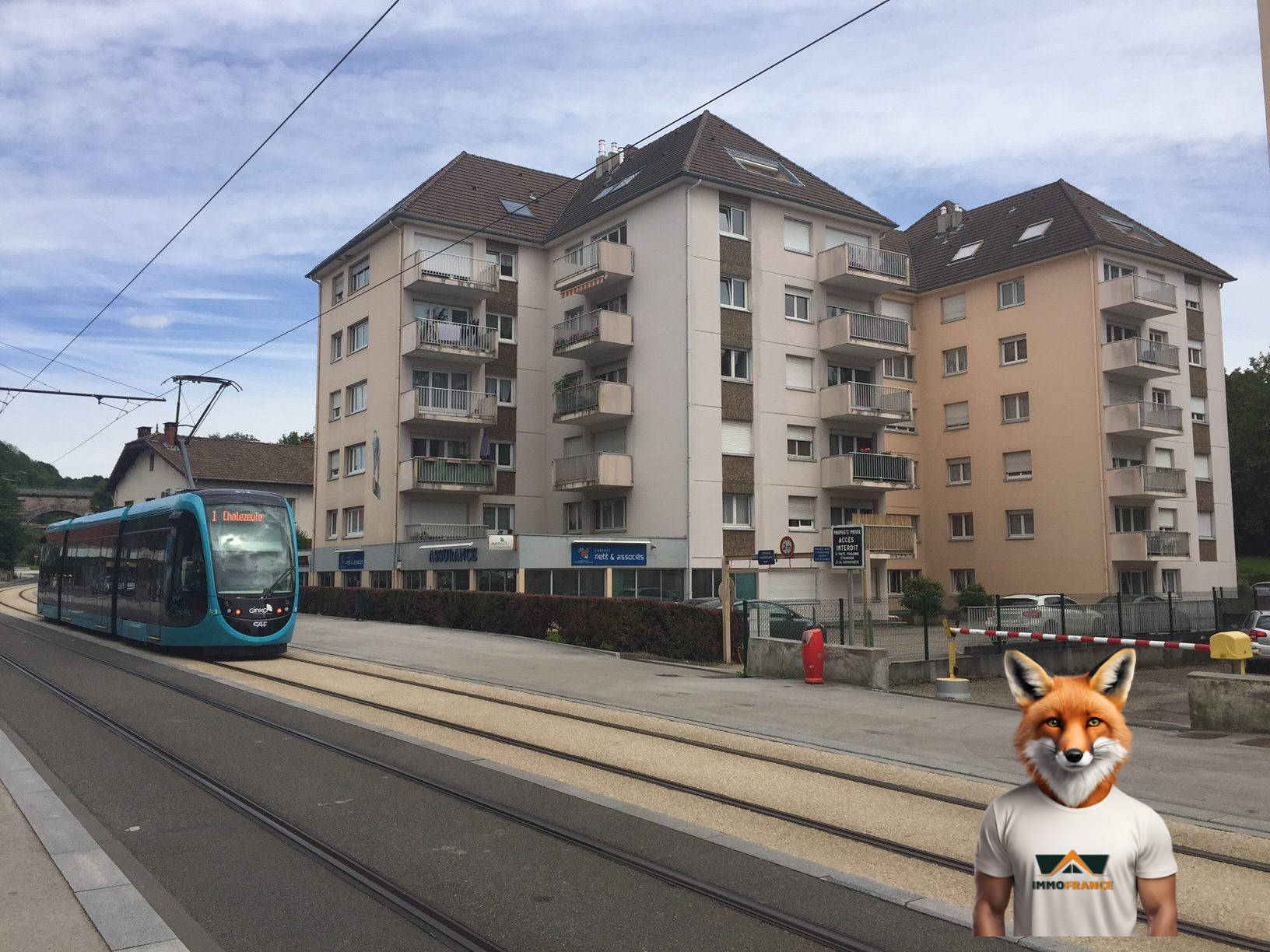 1782723948_VA4031_12_original