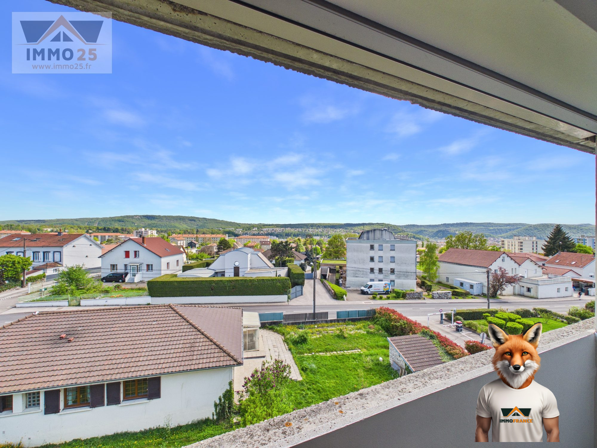 1784630041_VA3938_5_original